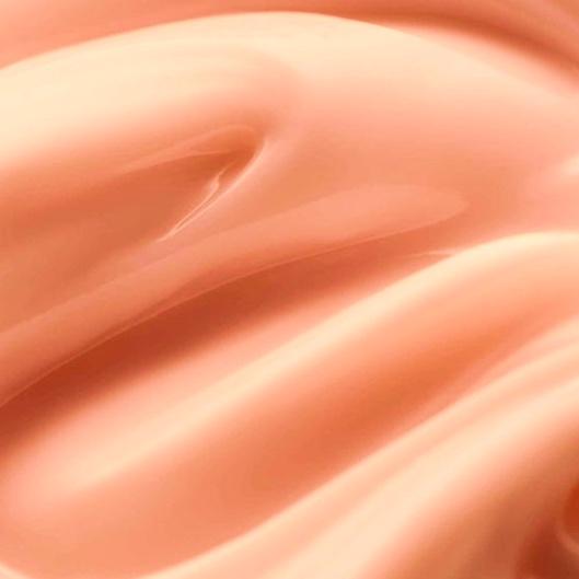 BLACK FRIDAY 6 month